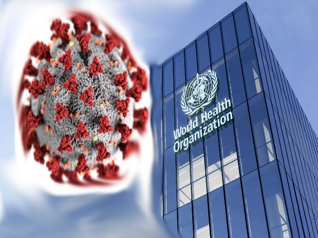 WHO-led team expected to visit China in January 2021 to examine COVID-19 origins